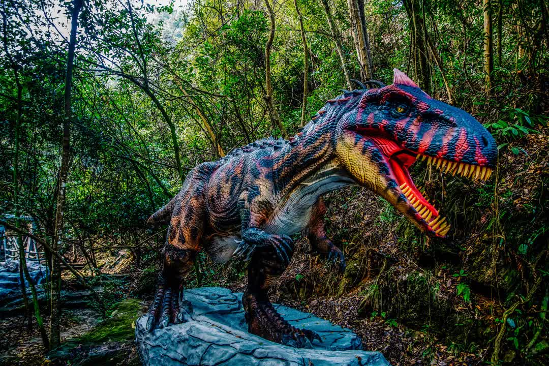 640 (7).jpg 640 (7).jpg