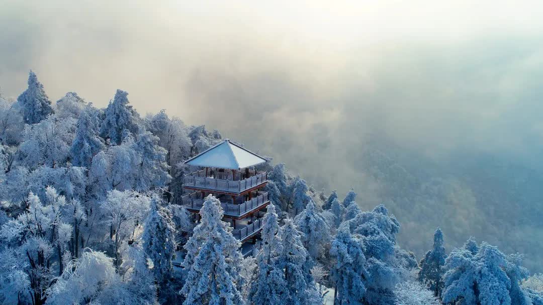 640 (2).jpg 640 (2).jpg